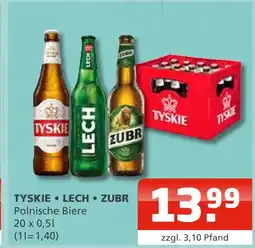Getränke Oase Tyskie, lech, zubr polnische biere Angebot