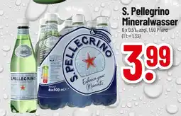 trinkgut S. pellegrino mineralwasser Angebot