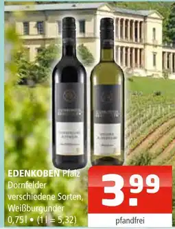 Getränke Oase Edenkoben dornfelder Angebot