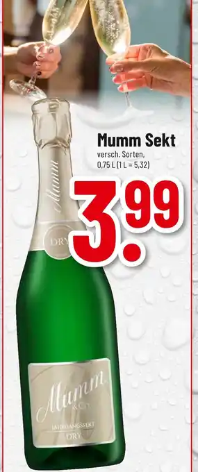 trinkgut Mumm sekt Angebot