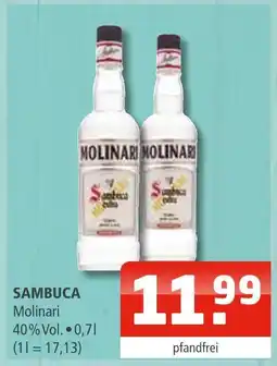 Getränke Oase Molinari sambuca Angebot