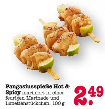 E-Center Pangasiusspieße hot & spicy Angebot