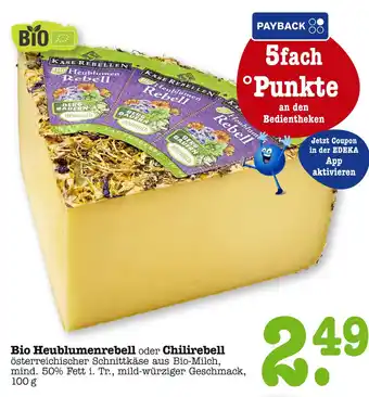 E-Center Käse rebellen bio heublumenrebell oder chilirebell Angebot