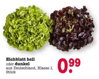 E-Center Eichblatt hell Angebot