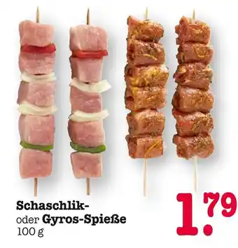 E-Center Schaschlik-spieße Angebot