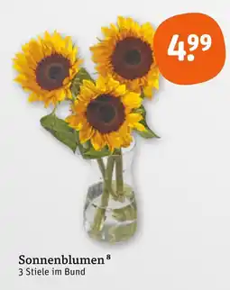 tegut Sonnenblumen Angebot