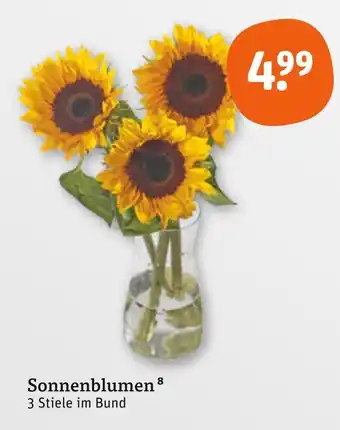 tegut Sonnenblumen Angebot