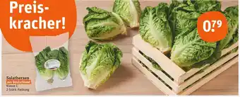 tegut Salatherzen Angebot