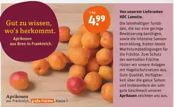 tegut Aprikosen Angebot
