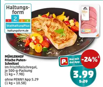 PENNY Mühlenhof frische puten-schnitzel Angebot