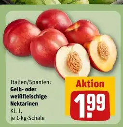 REWE Gelb- oder weißfleischige nektarinen Angebot