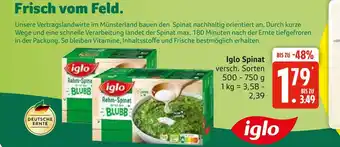 Marktkauf Iglo spinat Angebot