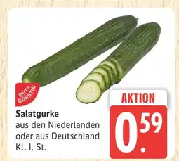 Marktkauf Salatgurke Angebot