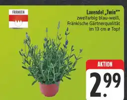 Edeka Franken lavendel 'twin' Angebot