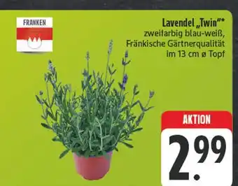 Edeka Franken lavendel 'twin' Angebot
