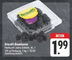 Edeka Driscoll's brombeeren Angebot