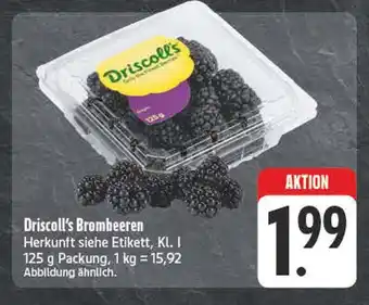 Edeka Driscoll's brombeeren Angebot