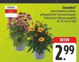 Edeka Franken sonnenhut Angebot