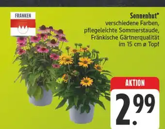 Edeka Franken sonnenhut Angebot