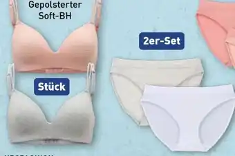 Aldi Nord Up2Fashion Damen Unterwäsche Angebot