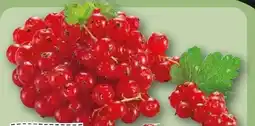 REWE Rewe Regional Johannisbeeren Angebot