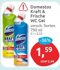 Budni Domestos Kraft & Frische WC Gel Angebot