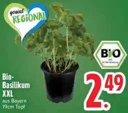 Edeka Bio-Basilikum XXL Angebot