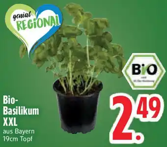 Edeka Bio-Basilikum XXL Angebot