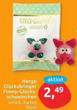 Budni Hergo Glücksbringer Funny-Glücksschweinchen Angebot
