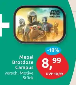 Budni Mepal Brotdose Campus Angebot