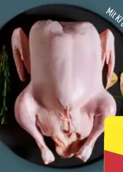 Aldi Nord Meine Metzgerei Junge Ente Angebot