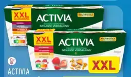 Aldi Nord Danone Activia Fruchtmix XXL Angebot