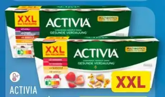Aldi Nord Danone Activia Fruchtmix XXL Angebot