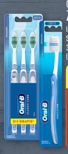 Aldi Nord Oral-B Zahnbürsten Angebot