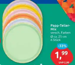 Budni Papp-Teller- Mix Angebot
