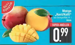 E-Center GUT& GÜNSTIG Mango ,,Kent/Keitt" Angebot