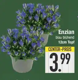 E-Center Enzian Angebot