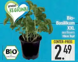 E-Center Bio- Basilikum XXL Angebot