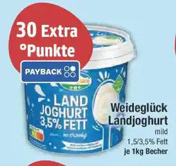 E-Center Weideglück Landjoghurt Angebot