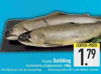 E-Center Frischer Saibling Angebot