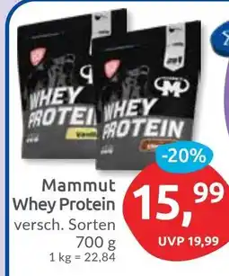 Budni Mammut Whey Protein Angebot