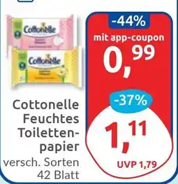 Budni Cottonelle Feuchtes Toilettenpapier Angebot