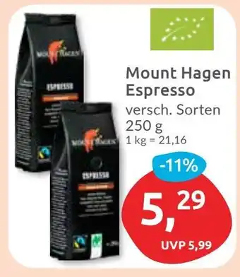 Budni Mount Hagen Espresso Angebot
