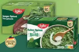 E-Center iglo Spinat Junger oder Rahm-Spinat oder Blatt- oder Würz-Spinat Angebot