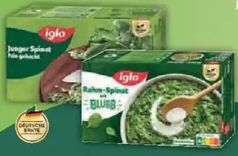 E-Center iglo Spinat Junger oder Rahm-Spinat oder Blatt- oder Würz-Spinat Angebot