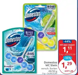 Budni Domestos WC Stein Angebot