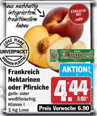 Hit Frankreich Nektarinen oder Pfirsiche Angebot