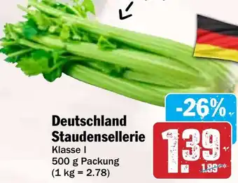 Hit Deutschland Staudensellerie Angebot