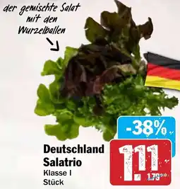 Hit Deutschland Salatrio Angebot