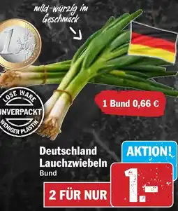 Hit Deutschland Lauchzwiebeln Angebot